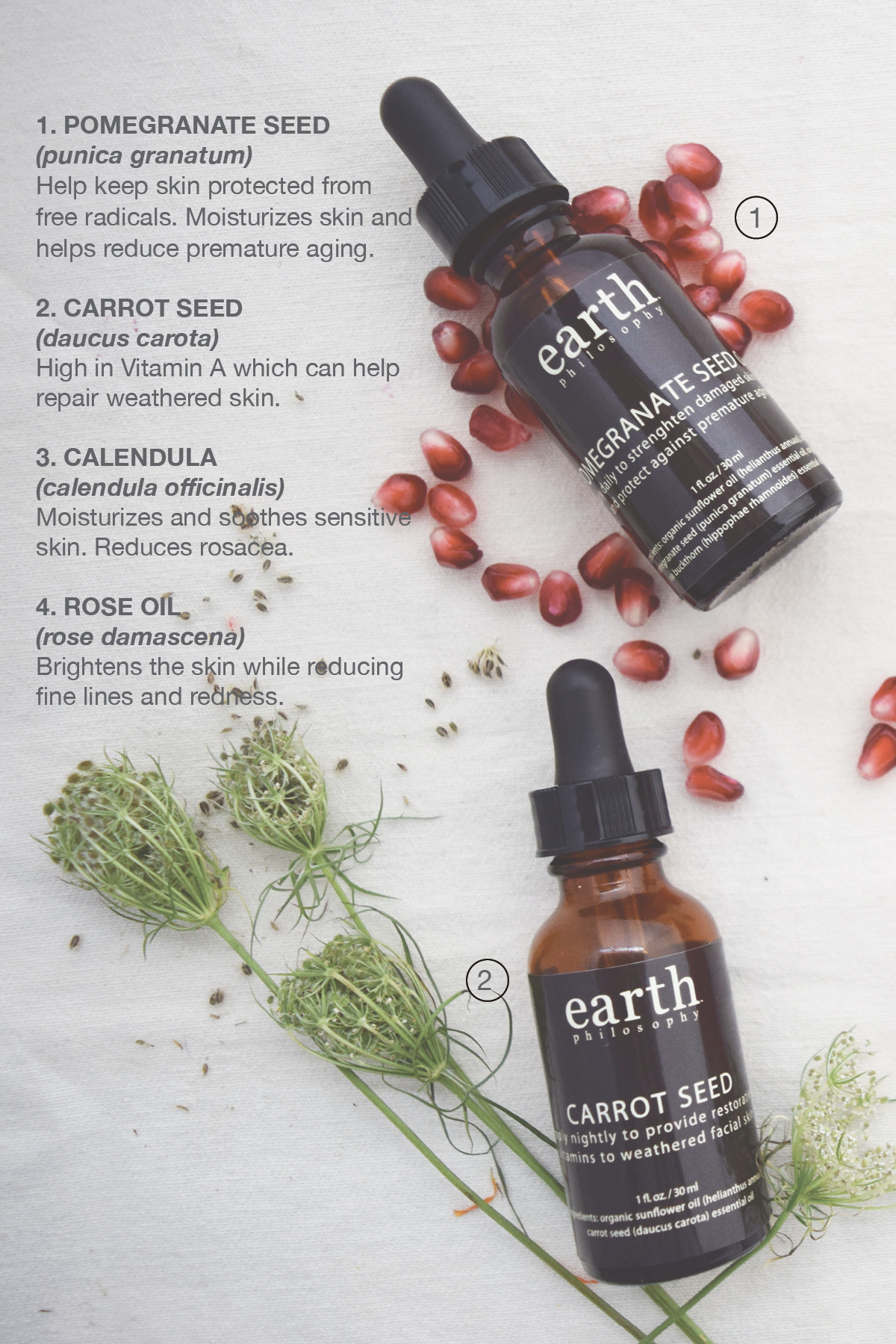 ORGANIC CARROT SEED OIL